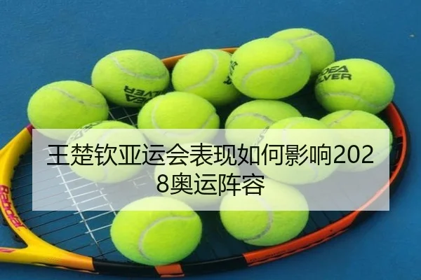 王楚钦亚运会表现如何影响2028奥运阵容